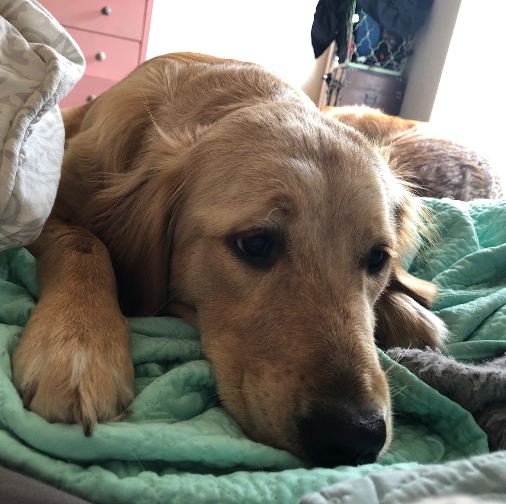 Meet your Posher, Bryce.